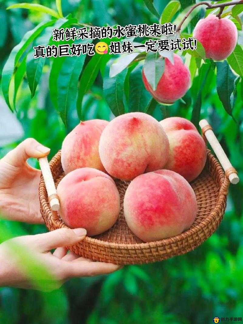 水蜜桃编码 1038：新鲜采摘甜蜜多汁的优质水果